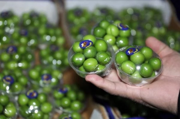 Aşeren anne adayları için getirilen ilk ürün yeşil eriğin kilosu 750 TL