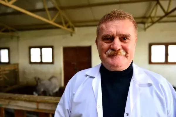 Litre fiyatı 150 lira olan eşek sütüne yoğun ilgi