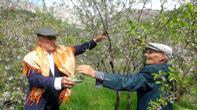 Mersin'de hasadı başlayan badem çağlası kilogramı 100 liradan satılıyor