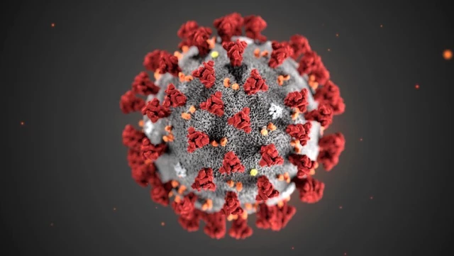 Koronavirüs (Covid-19): Dünyada vaka sayısı 100 bini aştı, aşı ihtimali var mı?