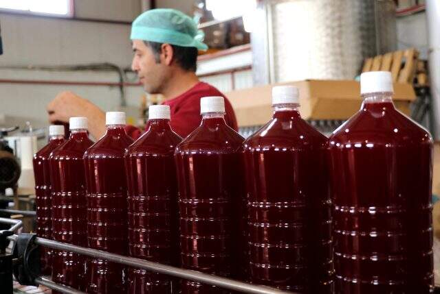 Koronavirüse iyi geldiği söylenen şalgam, Adana'dan 46 ülkeye ihraç ediliyor Koronavirüse iyi geldiği söylenen şalgam, Adana'dan 46 ülkeye ihraç ediliyor