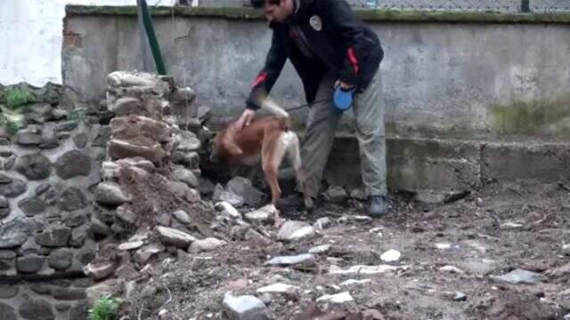 Uyuşturucu tacirlerine şafak baskını düzenleyen polis, 600 yıllık türbede gizlenmiş halde uyuşturucu ele geçirdi