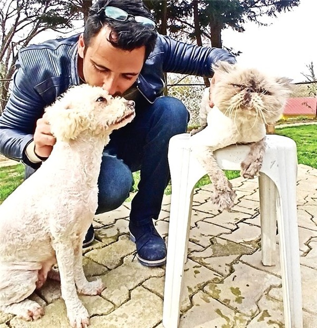 Eşim İstanbul'a dönünce hayvanlarla birlikte yaşayacağız