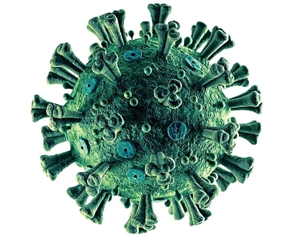 Hayatımızın yeni gerçeği corona virüs! 45 maddede corona virüs hakkında bilmeniz gereken her şey