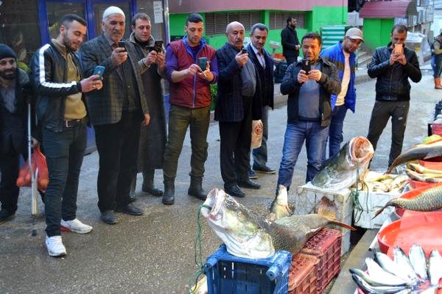 Keban barajında avlanan balıkçının yakaladığı 2 metre turna balığı görenleri şaşırttı