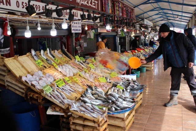 Balık fiyatları yüzde 50 düştü