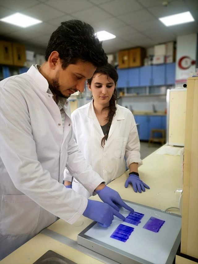 Bartın Üniversitesi ve Gaziosmanpaşa Üniversitesi virüse karşı tanı kiti için yerli enzim üretti
