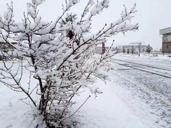 Erzurum halkı bembeyaz bir sabaha uyandı