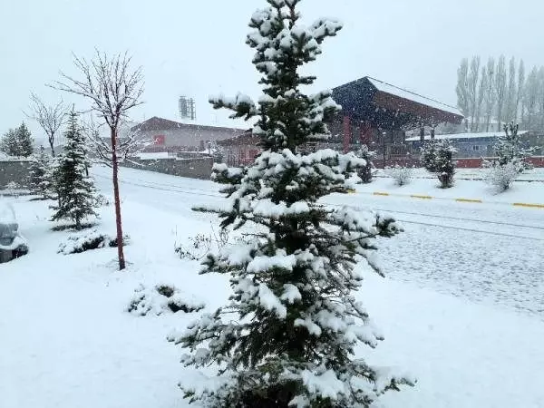 Erzurum halkı bembeyaz bir sabaha uyandı