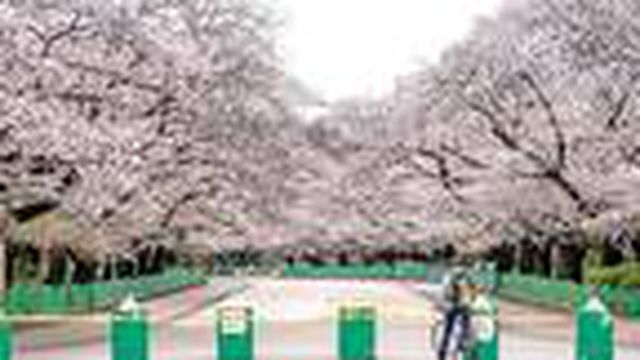 Sokaklarda insan yok, dünya alarmda