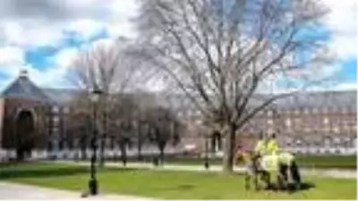 Sokaklarda insan yok, dünya alarmda