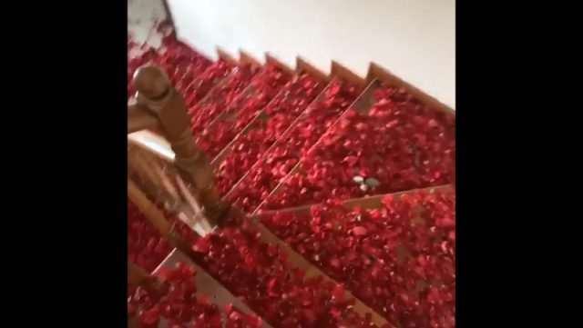 Gökhan Çıra, Selin Ciğerci'nin doğum günü için evi kırmızı güllerle doldurdu