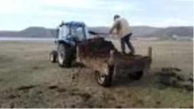 Yardımcı bulamayan vatandaş, traktörü birinci vitese takıp römorka geçerek tarlasına gübre serpti