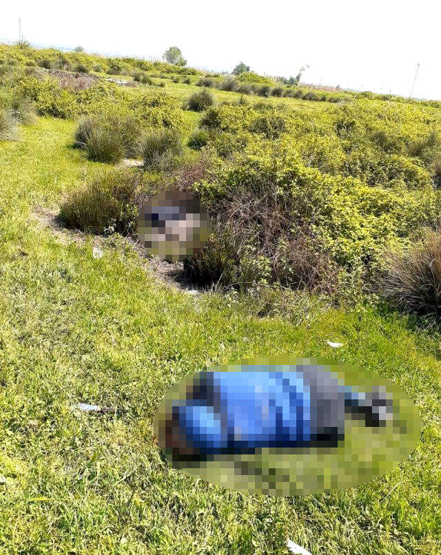 Husumetli aileler arasında çıkan kavgada bir aile yok oldu: 4 ölü, 1 yaralı Husumetli aileler arasında çıkan kavgada bir aile yok oldu: 4 ölü, 1 yaralı