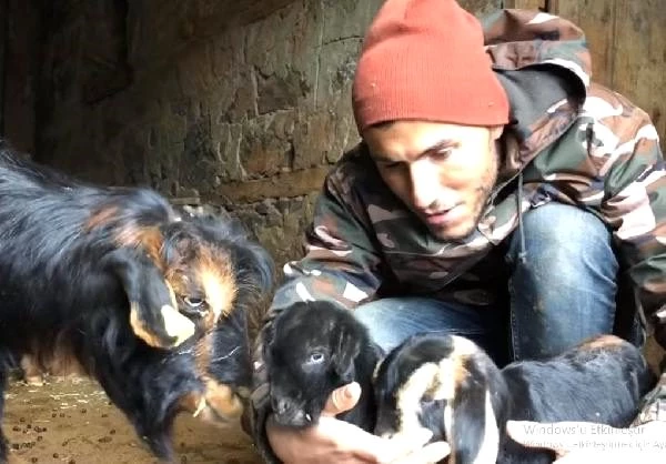 İstanbul'da yapamayıp köyüne dönen YouTuber çoban, çektiği videolarla büyük ilgi görüyor