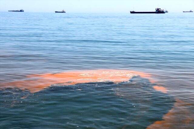 Marmara Denizi'nde plankton çoğalması nedeniyle turuncuya büründü