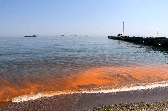 Marmara Denizi'nde plankton çoğalması nedeniyle turuncuya büründü