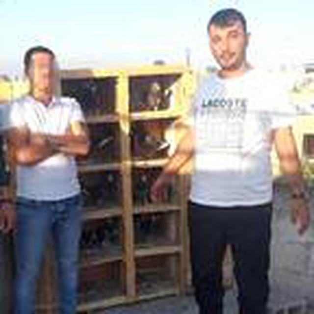 Güvercin kavgası kanlı bitti: 1 ölü, 3 yaralı