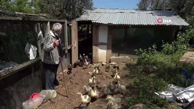 Silah zoruyla attırılan imza sebebiyle 20 milyon liralık mal varlığını kaybedecek 81 yaşındaki adam kısmi felç geçirdi