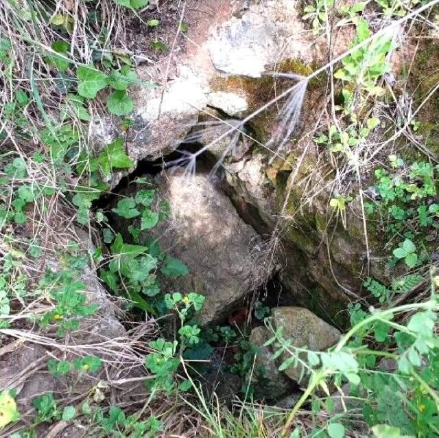 Sinop'ta Kral Mitridat'ın mezarıyla bağlantılı olduğunu düşünülen bir tünel daha bulundu