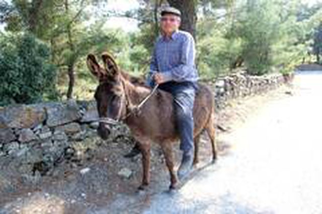 Raşit amca, yaş yasağına takılmadan emektar eşeğinin sırtında dolaşıyor