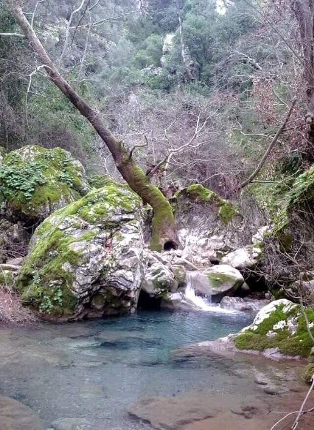 Marmaris İçmeler'deki kanyondaki doğa tahribatını ilçenin gençleri temizlemeye çalıştı