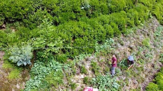 Rizeli muhtar, köyde yaşayanlara drone ile maske dağıtıyor Rizeli muhtar, köyde yaşayanlara drone ile maske dağıtıyor