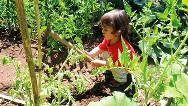 Çalışkan, gönüllü, acemi çiftçiler aranıyor!