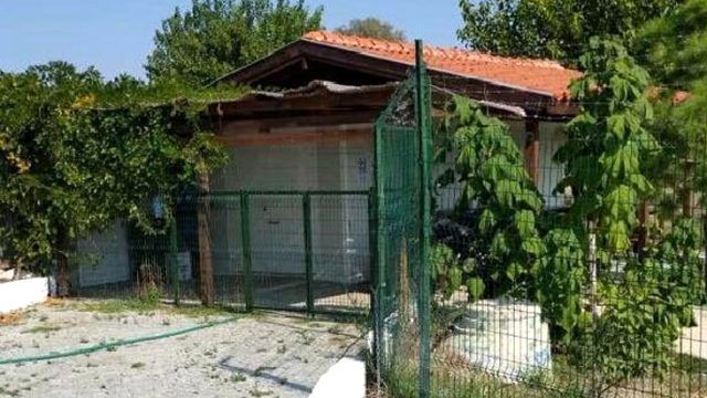 Gazeteci Fatih Portakal'ın İzmir'deki çiftliğinde kaçak yapı incelemesi