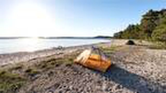 Gönül rahatlığıyla tatil yapmak için bilmek isteyeceğiniz her şey