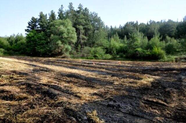 Muğla'da yanan yulaf tarlasında emekli savcının cesedi bulundu Muğla'da yanan yulaf tarlasında emekli savcının cesedi bulundu