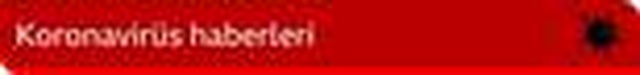 Koronavirüs: AB'nin Covid-19'la mücadele danışmanı, 'Avrupa ikinci dalgaya hazıranmalı lıklı...