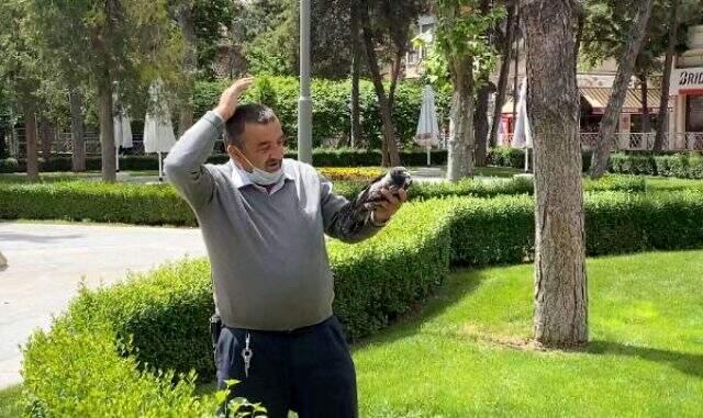 Sokağa çıkma izninde yavru kargayı kurtaran vatandaş, anne karganın saldırısına uğradı