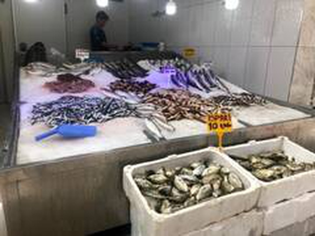 Koronavirüs nedeniyle balık fiyatları düşerken, balıkçılar vatandaşlara 'Balık yiyin' çağrısı yaptı Koronavirüs nedeniyle balık fiyatları düşerken, balıkçılar vatandaşlara 'Balık yiyin' çağrısı yaptı