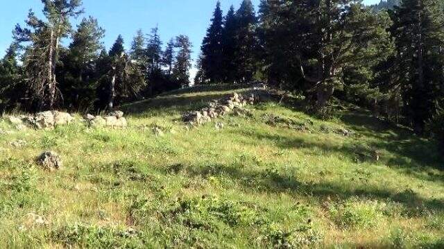 Mantar toplamaya giden adam, 2 bin 800 yıllık tarihi duvar buldu