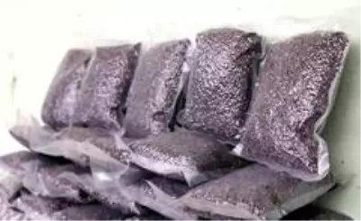 Siyah pirincin rengini gören boya zannedip bakanlığa şikayet ediyor ancak faydaları saymakla bitmiyor