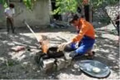 Köy evinde yaptığı yemeklerle fenomen olan Taha'nın, hesabı yeniden açıldı Köy evinde yaptığı yemeklerle fenomen olan Taha'nın, hesabı yeniden açıldı