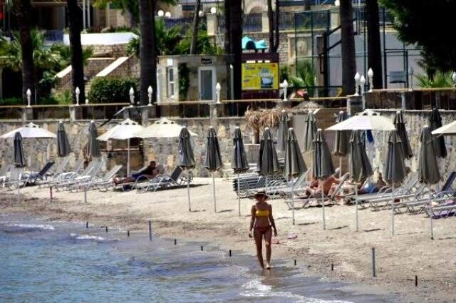 Plajlara serilen kuvars tozu deniz çayırlarını yok ediyor