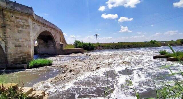 Ergene Nehri'nde aylar sonra yine ürküten görüntü! Normalleşme doğaya yaramadı Ergene Nehri'nde aylar sonra yine ürküten görüntü! Normalleşme doğaya yaramadı