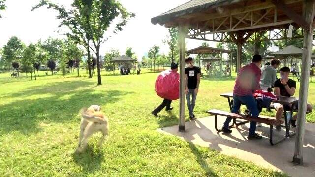 Koronavirüs kılığına giren tiyatrocuyu köpek kovaladı Koronavirüs kılığına giren tiyatrocuyu köpek kovaladı