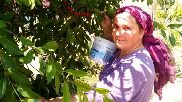 Bir tohum toprağa, bir tohum gönüllere... Organik tarım hayatlarını değiştirdi