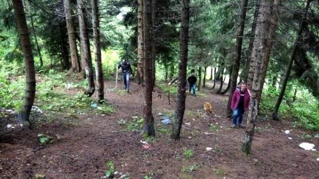 Karadeniz'de popülasyonu artan ayılar korkutuyor