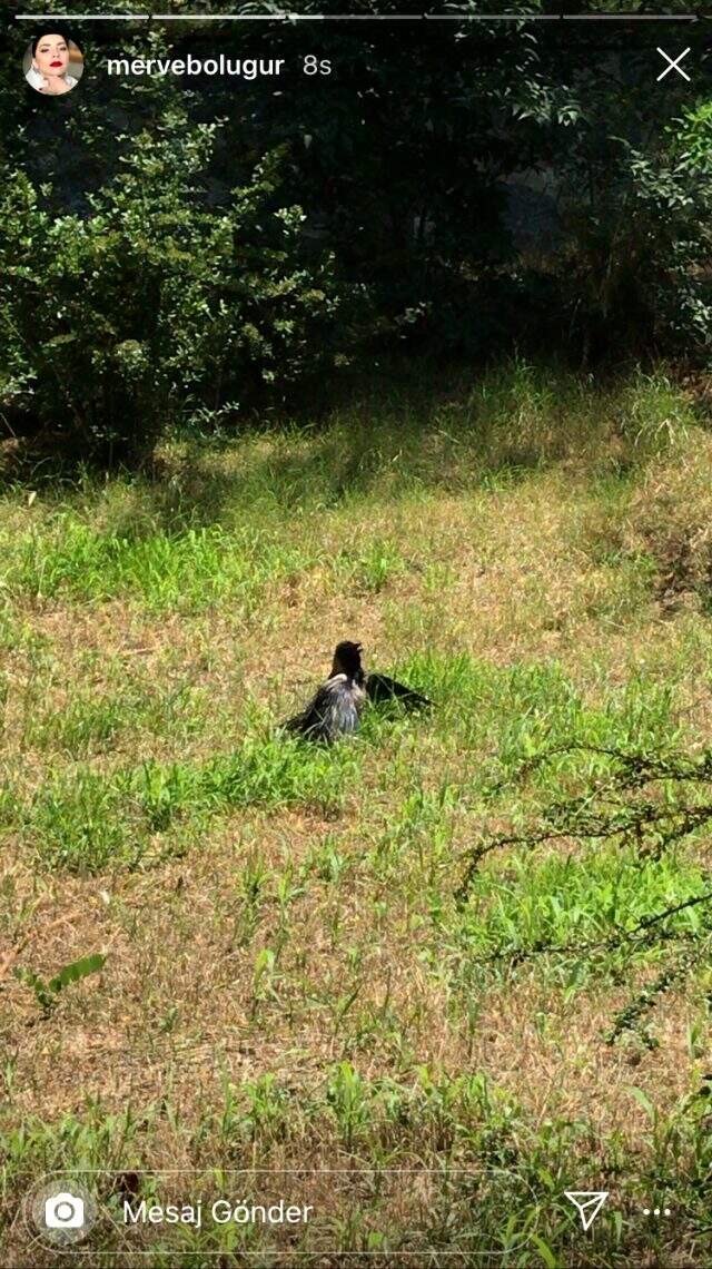Üniversite sınavına hazırlandığı söyleyen Merve Boluğur, YKS sırasında fotoğraf paylaştı Üniversite sınavına hazırlandığı söyleyen Merve Boluğur, YKS sırasında fotoğraf paylaştı