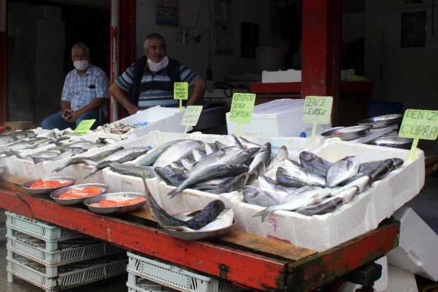 Av yasağı nedeniyle tezgahları kültür balıkları süslüyor