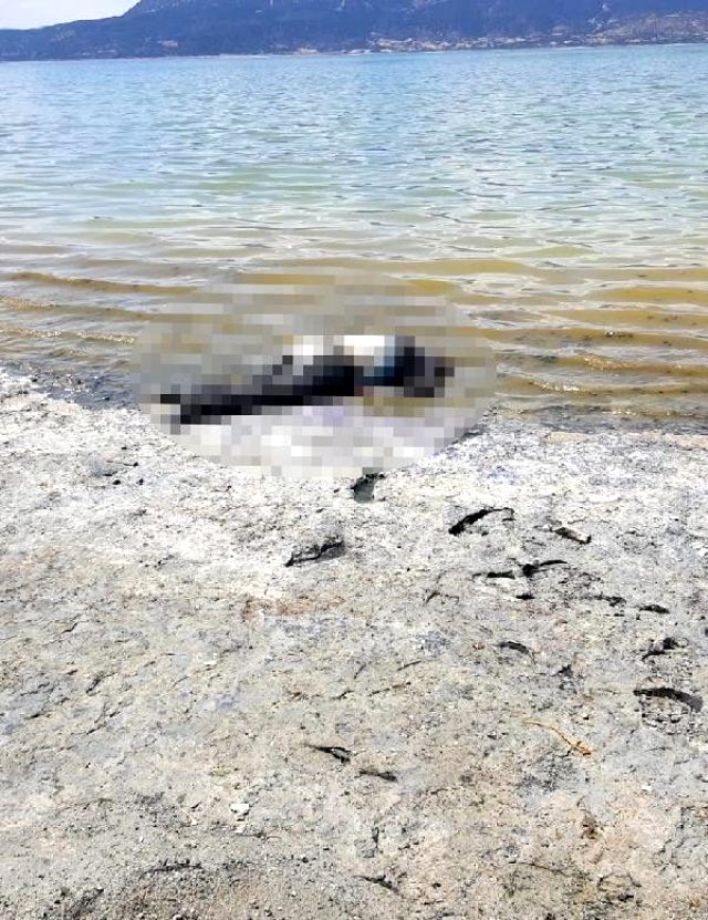 Burdur Gölü sahilinde cansız beden bulundu