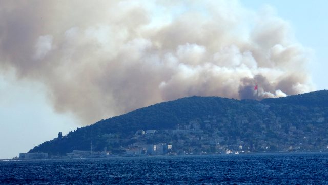 Son Dakika: İBB, Heybeliada'da çıkan orman yangınının kontrol altına alındığını açıkladı