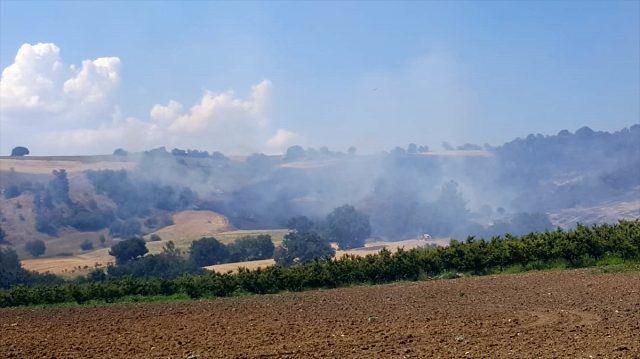 Son dakika: Çanakkale Kemel köyü yakınlarında orman yangını çıktı