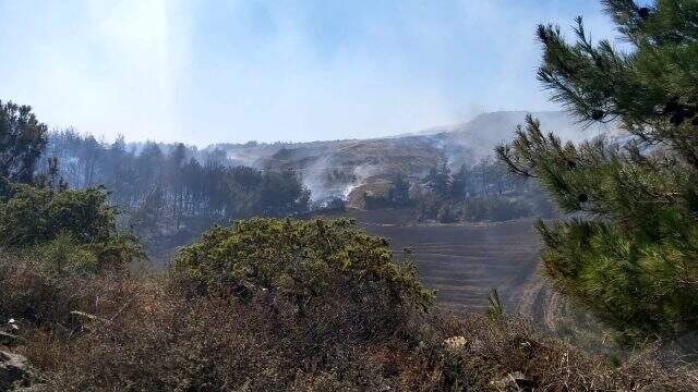 Çanakkale'de 5 ayrı noktada orman yangını! Boğaz çift yönlü trafiğe kapatıldı Çanakkale'de 5 ayrı noktada orman yangını! Boğaz çift yönlü trafiğe kapatıldı