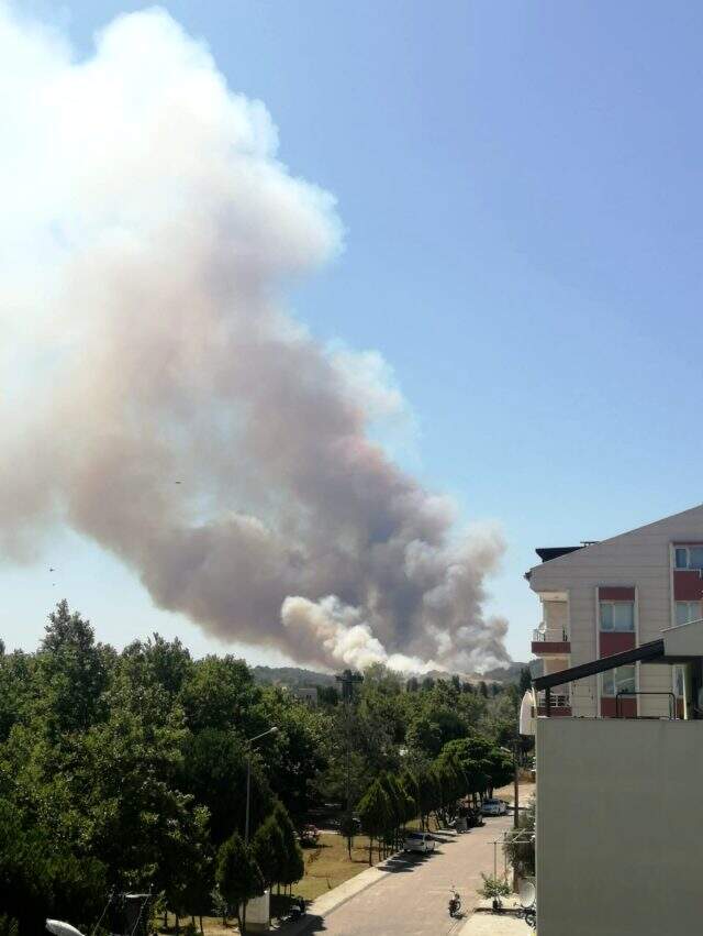 Çanakkale'de 5 ayrı noktada orman yangını! Boğaz çift yönlü trafiğe kapatıldı Çanakkale'de 5 ayrı noktada orman yangını! Boğaz çift yönlü trafiğe kapatıldı