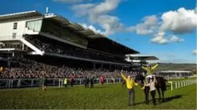 Koronavirüs: 'Sürü bağışıklığı' politikası İngiltere'de salgının gidişatını değiştirdi mi?